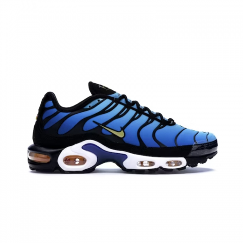 Nike Air Max Plus Tuned Air Sneakers Blue and Black