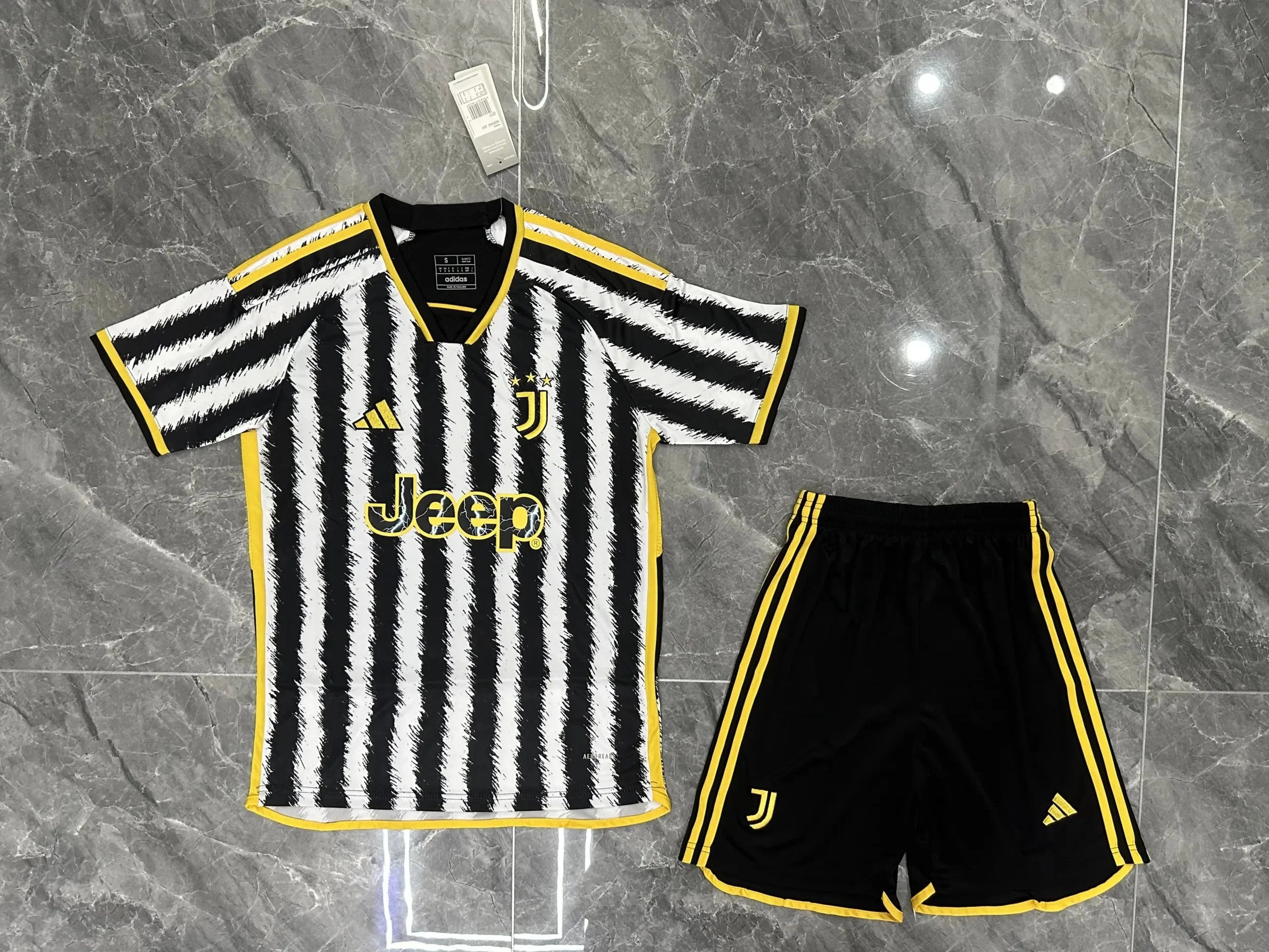 36 36