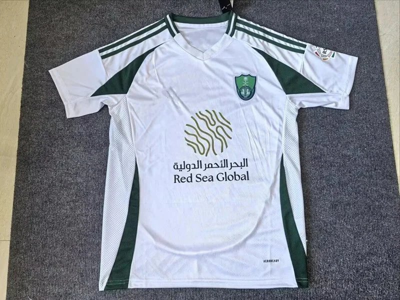 2425沙特阿拉伯国民主场 2425沙特阿拉伯国民主场