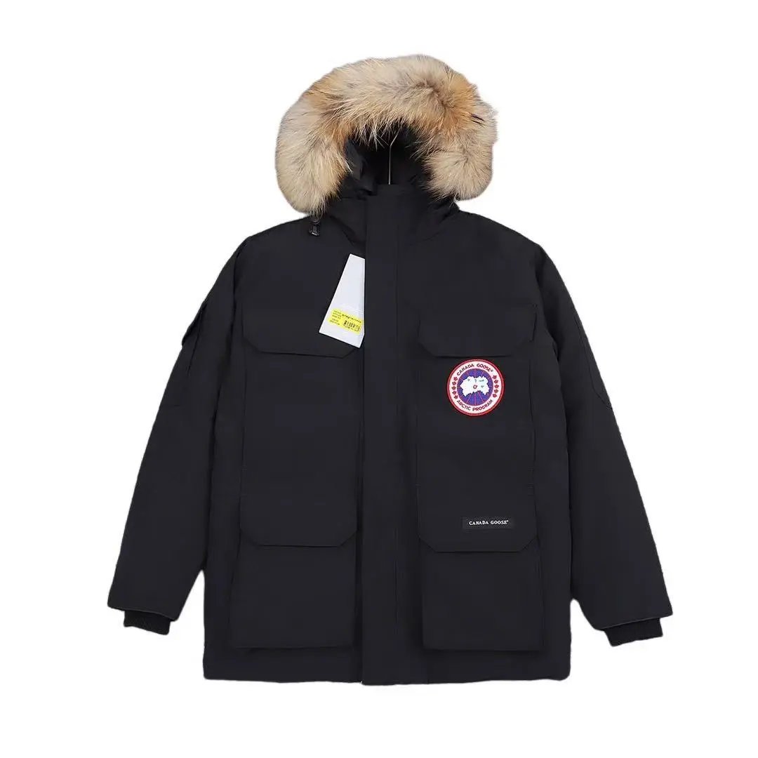Goose2 Goose2