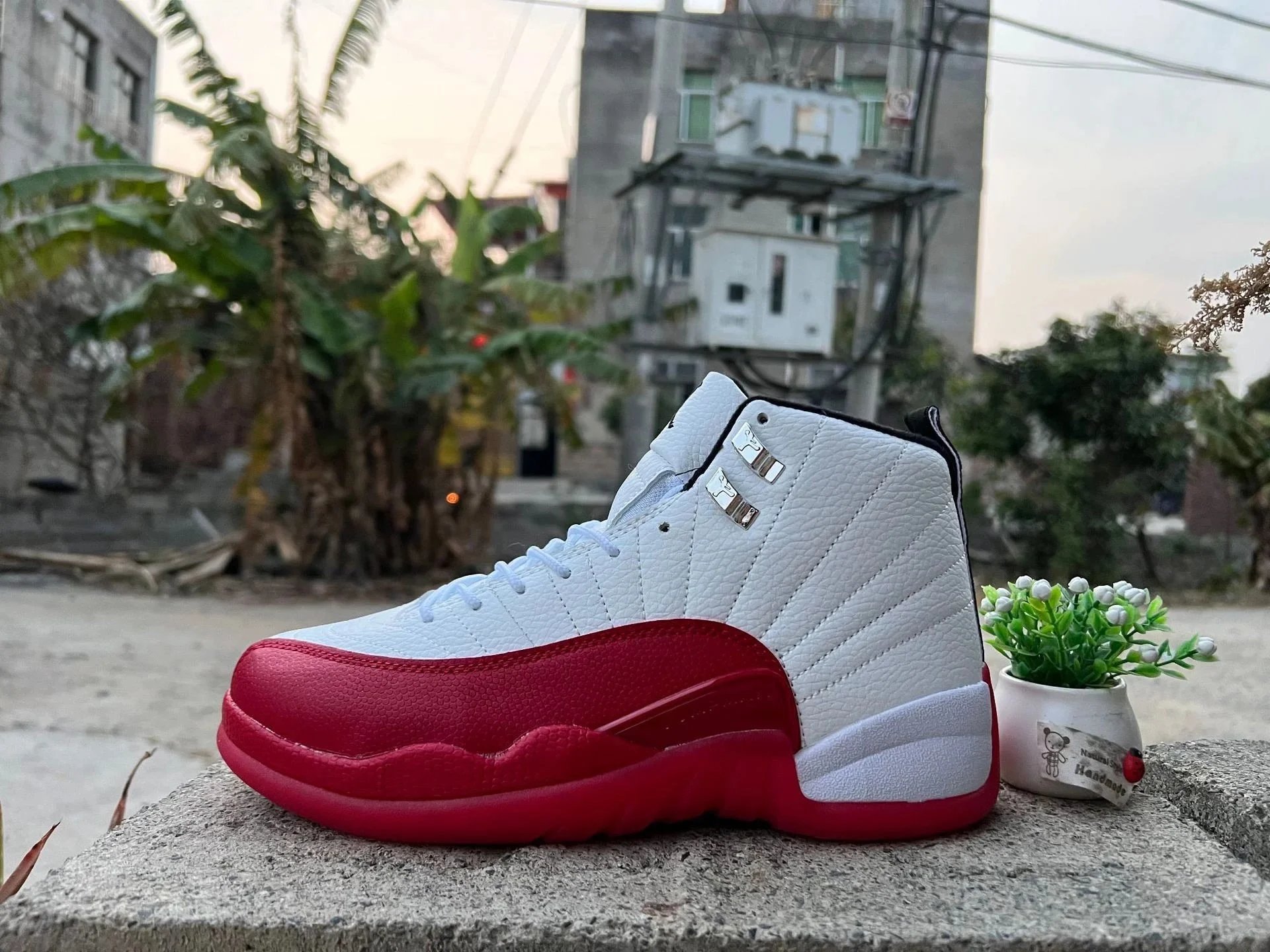 AJ12-新白红