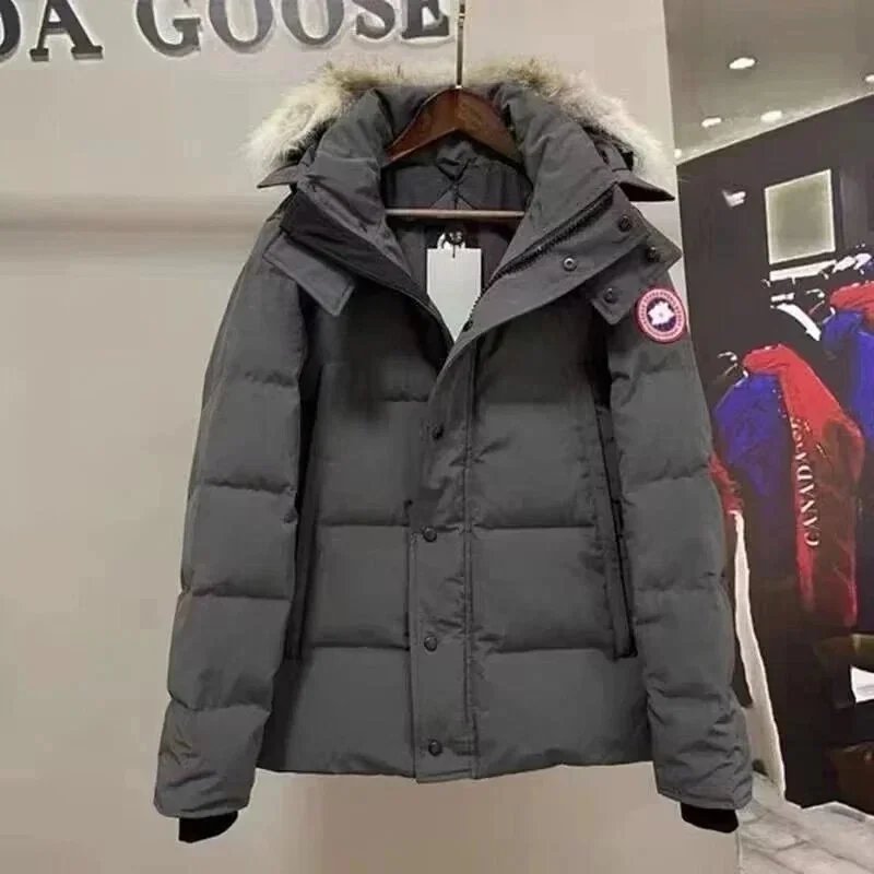 Canada Goose-2