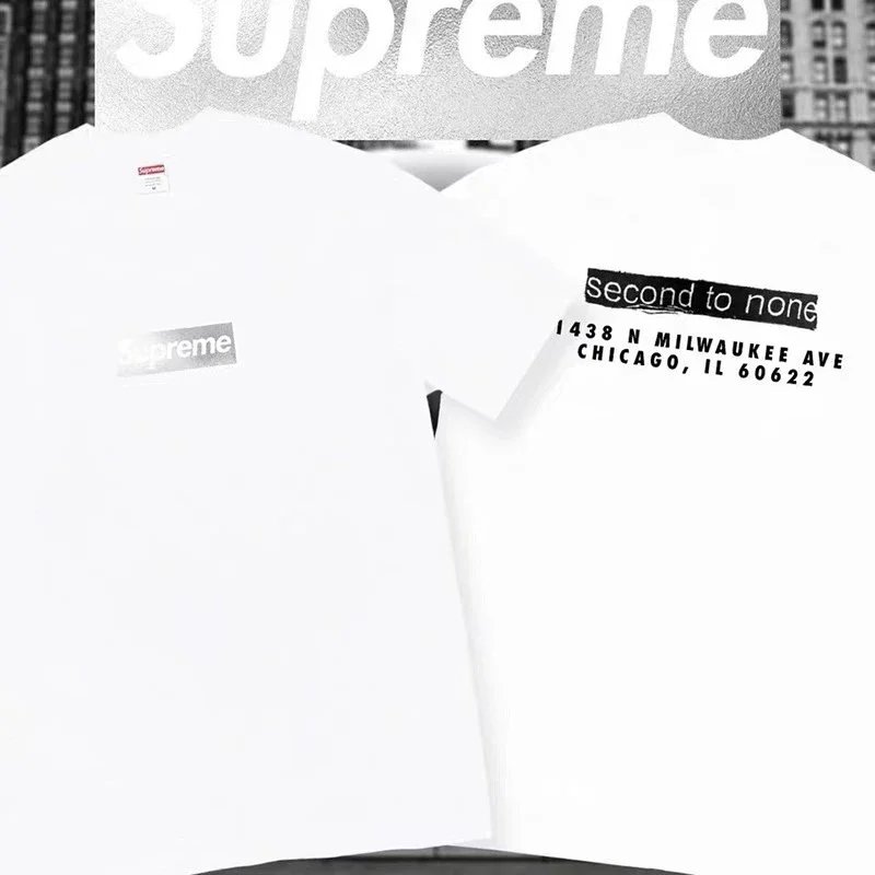B319 白银色