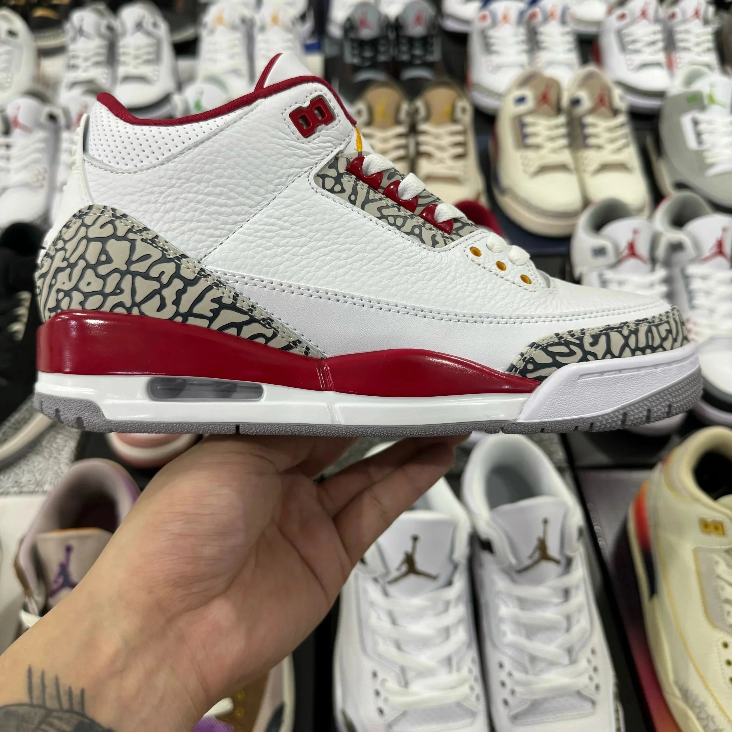 红雀 酒红色