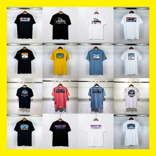 Patagonia Graphic Tee Casual T-Shirt Multicolor
