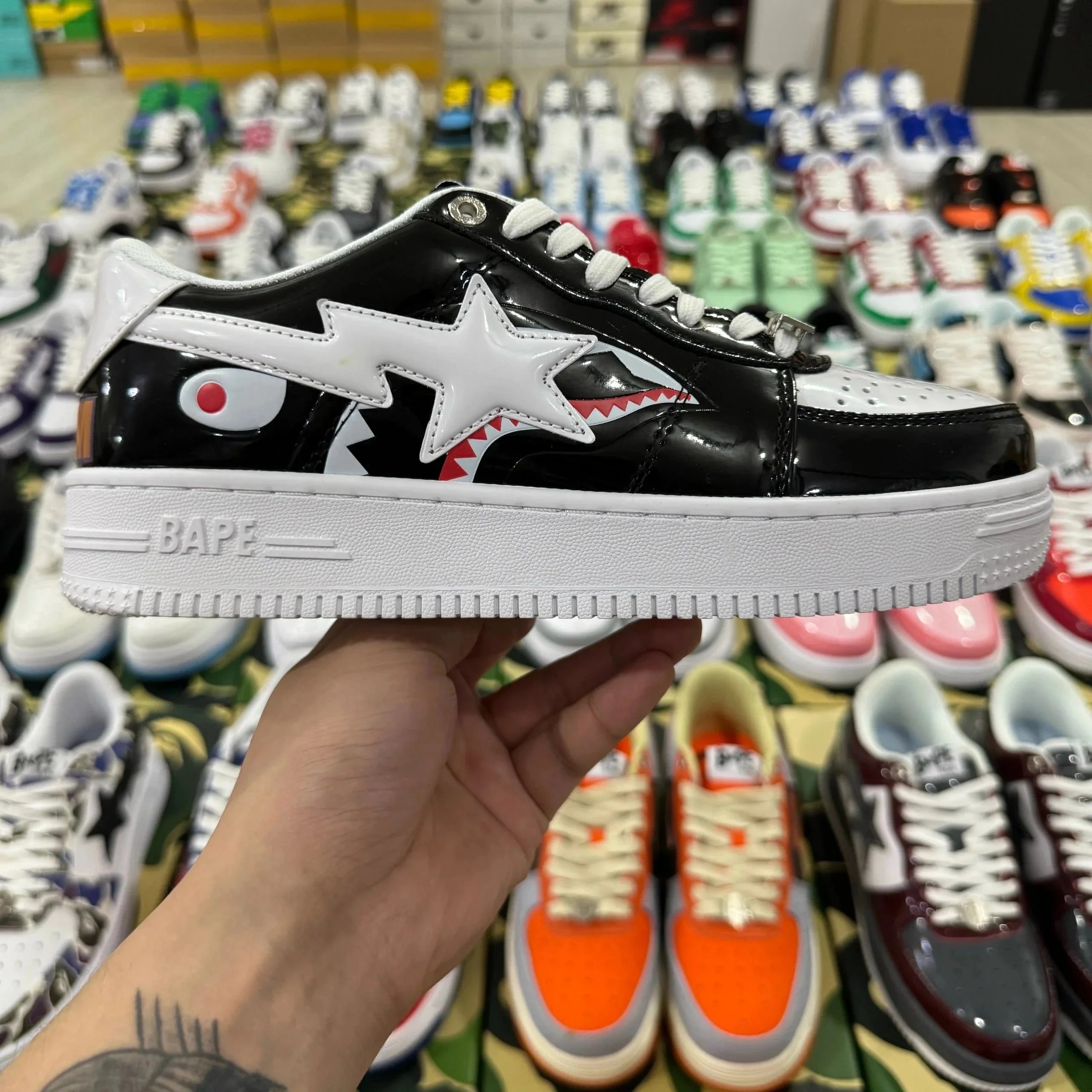 黑白鲨鱼 黑白鲨鱼