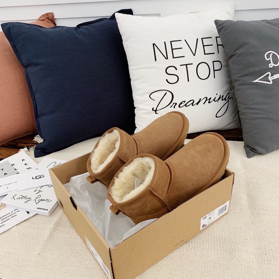 26 26
