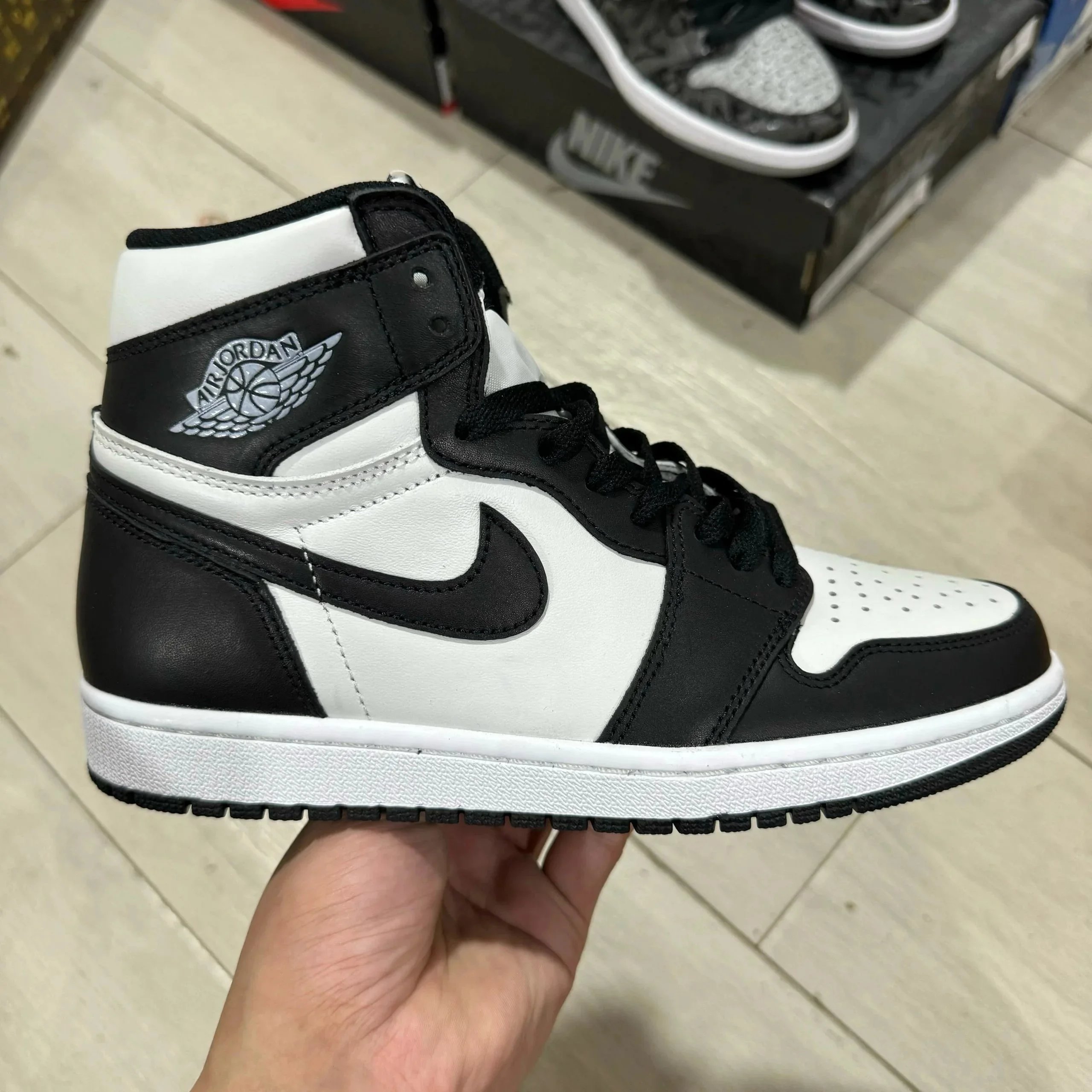 熊猫85 熊猫85