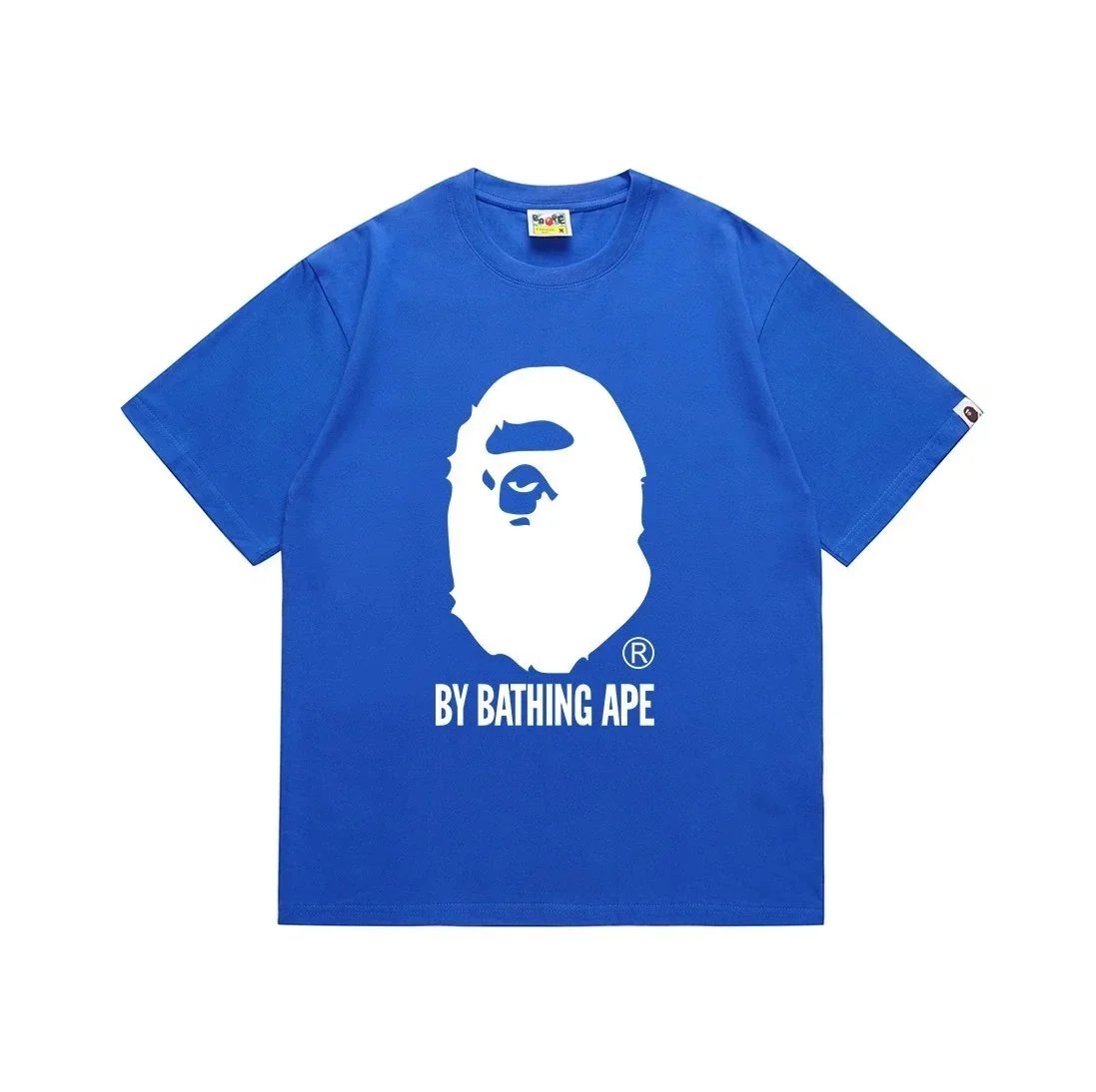 31 31