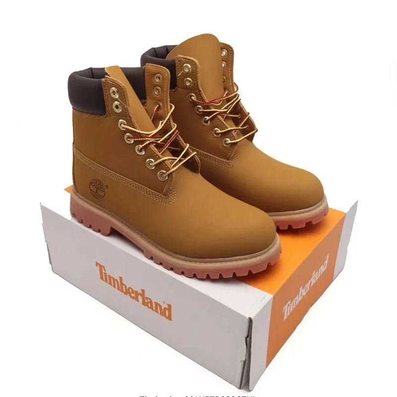 31 31