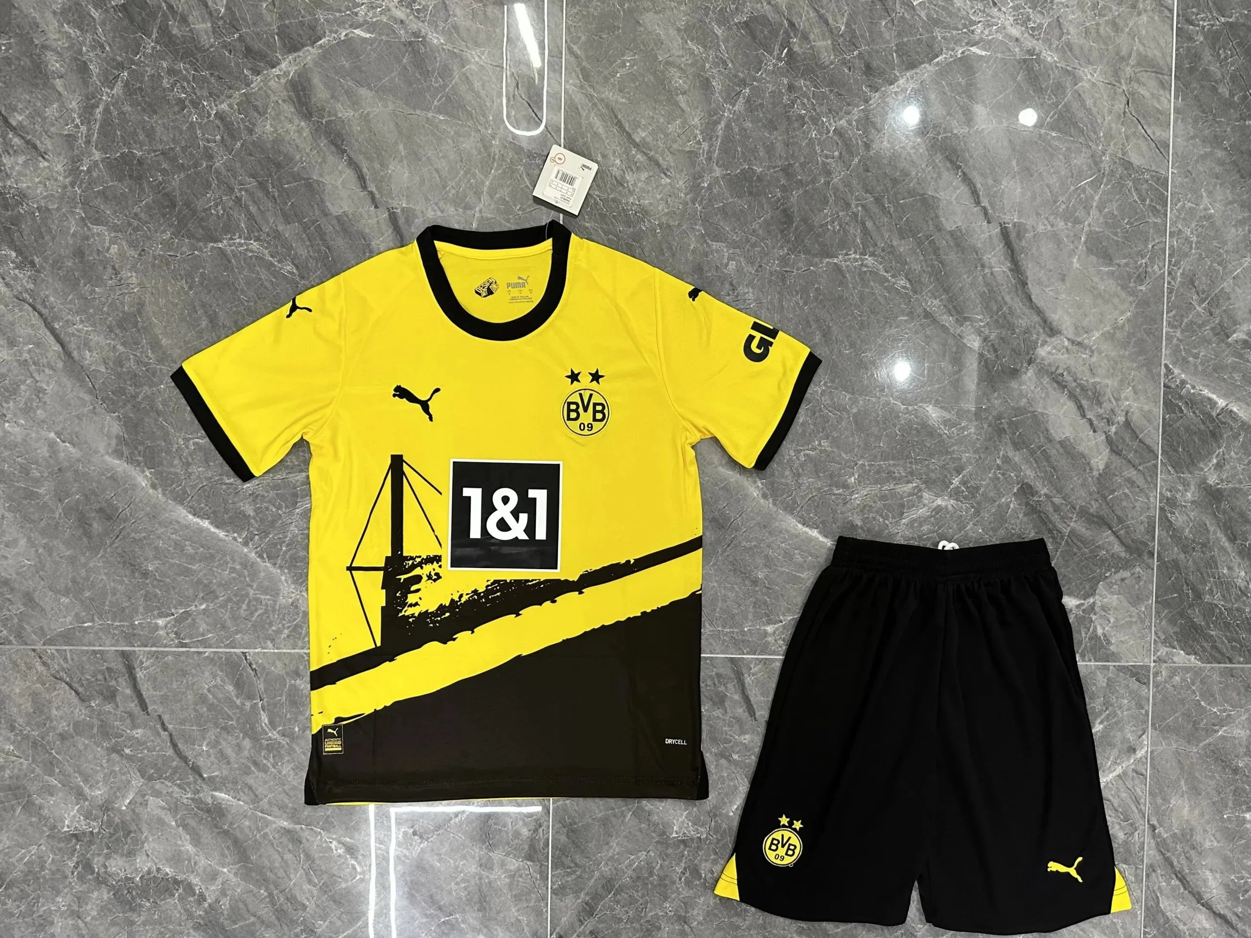 26 26